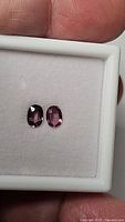 Two oval cut pink-purple sapphires displayed on white cushioned case.