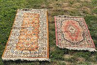Both runners laid side by side on grass to show overall size, color and pattern differences