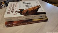Both books stacked showing spines and covers