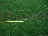 Full length of the chain laid out on grass next to a measuring tape showing approximately 27 feet in length.