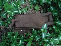 Cast iron trap door laying on ground surrounded by foliage, showing rust and texture.