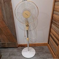 Full view of standing oscillating fan