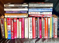 Full shelf showing entire group of approximately 32 political books with two horizontal stacks on top