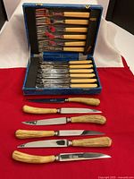 Open blue case with fish knives and forks, additional antler-handle knives laid below