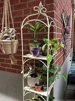 Stand fully loaded with plants showing overall condition