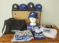 Full lot showing all items—caps, bat, duffle, hoodie, LED light, scarf, infant tee