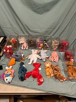 Full overview of the 18 assorted Ty Beanie Babies plush toys, some in protective cases and some loose, shown on a green cloth.