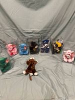 Full view of 8 TY Beanie Babies with 5 in protective clear cases and 3 without cases.