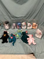 Full view of 11 Ty Beanie Babies plush bears, six in clear display cases and five loose, arranged on a light blue fabric background.