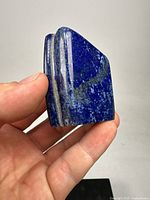 Polished thick lapis lazuli specimen showing deep blue color with white calcite veins and metallic inclusions held in hand