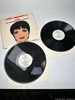 Two vinyl records and the album cover with Andy Warhol style illustration of Liza Minnelli's face.