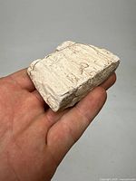 Rectangular fossilized wood piece showing wood texture and grain patterns, held in hand for size reference.