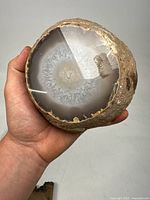 Hand holding large round agate geode showing polished top with clear crystalline banding and rough exterior.
