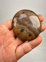 Close-up of polished fossilized wood palm stone held in hand showing color and texture details.