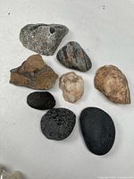 Seven assorted rocks displayed on a white surface showing variety of types and textures.