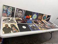 Overall view of all vinyl records laid out on the table showing album artwork fronts