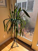 Tall green plant with long leaves in a black vintage metal pot holder near a glass door and wall corner, wooden floor beneath.
