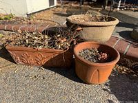 Three vintage terracotta planter pots on concrete surface outdoors with dried soil and plant remains inside.