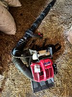 Full view of Troy-Bilt TB4BP backpack leaf blower with hose and straps