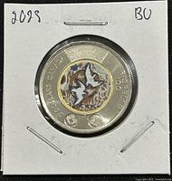 Obverse side of the coin showing color design of flying birds over landscape, with inscriptions '2 DOLLARS CANADA' and 'RIOPELLE 100'