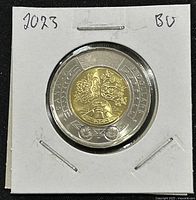 Reverse side of the 2023 Canadian National Indigenous Peoples Day Twoonie featuring Indigenous artwork and denomination.