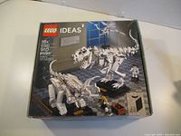 Front of LEGO Ideas Dinosaur Fossils box showing set number 21320 and 910 pieces