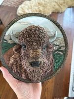 Front view of a round hanging plaque with a detailed buffalo head in relief and natural background.