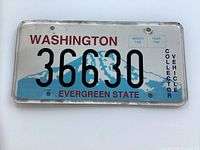Front view of Washington collector vehicle plate showing full design and condition