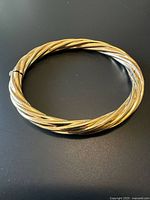 Full view of oval rope-twist bangle on black background