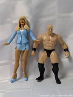 Both male and female wrestler figures standing side by side on a white textured background.