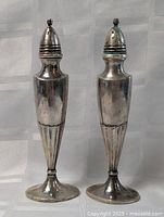 View of two Victorian sterling plated salt and pepper shakers standing side-by-side, showing general front detail including shape and tarnish.