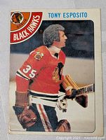 Front of vintage Tony Esposito hockey card showing him in Chicago Black Hawks goalie gear with team logo and number 35 visible.