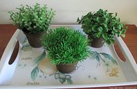 Photo showing the white vintage celluloid tray with built-in handles, fruit pattern including pears and peaches, along with three different faux succulent plants in brown pots arranged on the tray.