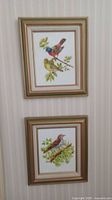 Two framed bird art prints hung vertically on a patterned wall.