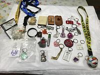 Overall lot layout showing all keychains, lanyards and accessories