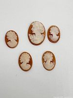Five oval shell cameos showing female classical profile busts in white raised relief on brown background on a plain surface.