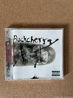 Front cover of Buckcherry 15 CD album showing album artwork and title.