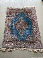 Full top-down view of rug laid flat on floor showing overall pattern and fringe ends