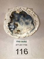 Top-down view showing the full cross section of the agatized fossil coral geode half with white, grey, and blue-grey botryoidal chalcedony formations inside a natural rough outer edge.