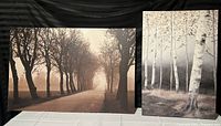 Two stretched canvas prints shown together: one large canvas of laneway trees on left and smaller birch tree canvas on right against black backdrop