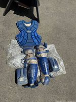 Photo of entire set showing blue chest protector and matching leg guards laid on translucent plastic sheet outdoors. Chest protector is padded with a molded design, leg guards have blue shell protection with white inner padding and adjustable blue straps.
