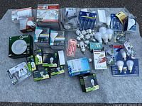 Wide view of assorted bulbs arranged on ground showing packaging and loose bulbs