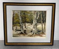 Framed original oil painting showing the full forest landscape scene with birch trees