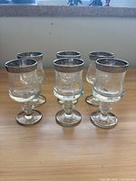 Set of six etched cordial glasses with silver rims displayed on tabletop