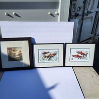 Photo of three framed art prints, one nature landscape and two fish illustrations, displayed outside.