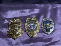 All three badges side by side on fabric