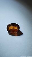 Photo of a single natural hessonite garnet gemstone, oval cut, deep burnt orange color with visible internal inclusions.