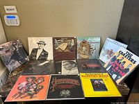 Top-down photo showing all 12 vinyl records arranged in two rows on a countertop, displaying their cover art.