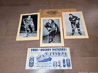 Group view of three Beehive photos, flyer and envelope