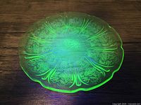 Top view of a circular uranium green glass serving plate with Cherry Blossom etching glowing under UV light.